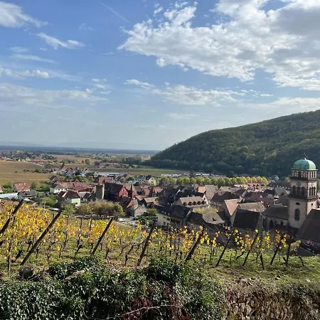 Apartment La Jolie Maison Bleue Avec Terrasse Kaysersberg-Vignoble