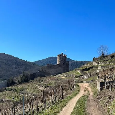 Apartment La Jolie Maison Bleue Avec Terrasse