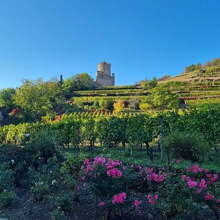 La Jolie Maison Bleue Avec Terrasse Kaysersberg-Vignoble