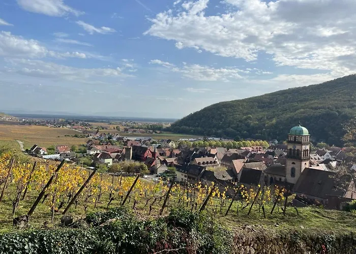 Appartamento La Jolie Maison Bleue Avec Terrasse Kaysersberg-Vignoble