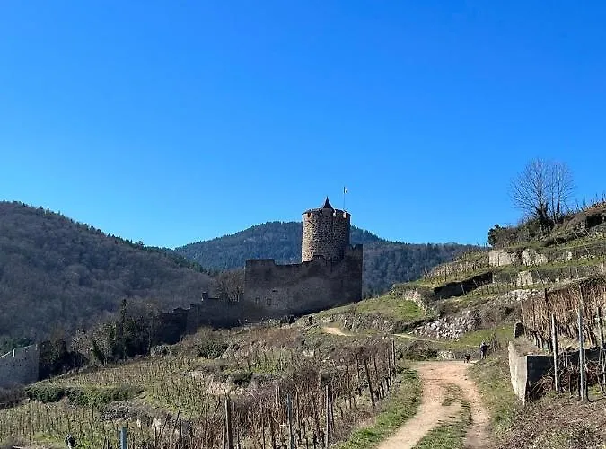 Appartamento La Jolie Maison Bleue Avec Terrasse