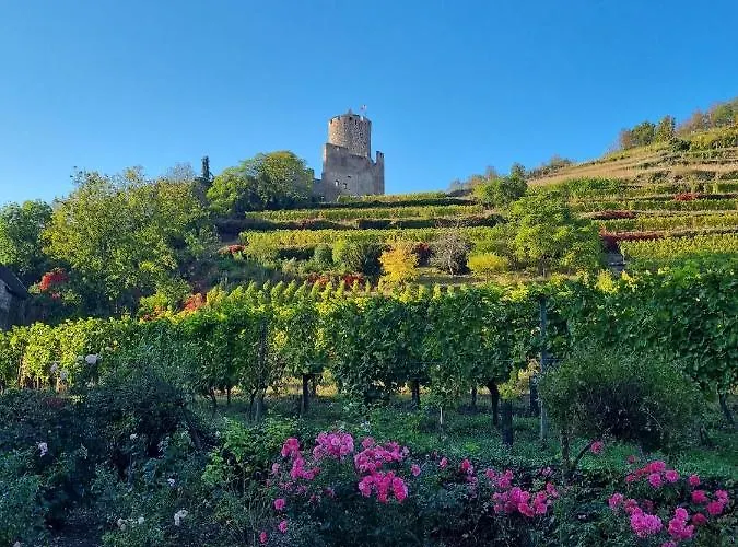 La Jolie Maison Bleue Avec Terrasse Kaysersberg-Vignoble